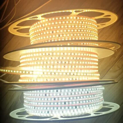 Neon Dream Color LED Strip Waterproof SMD2835 Flex Lights